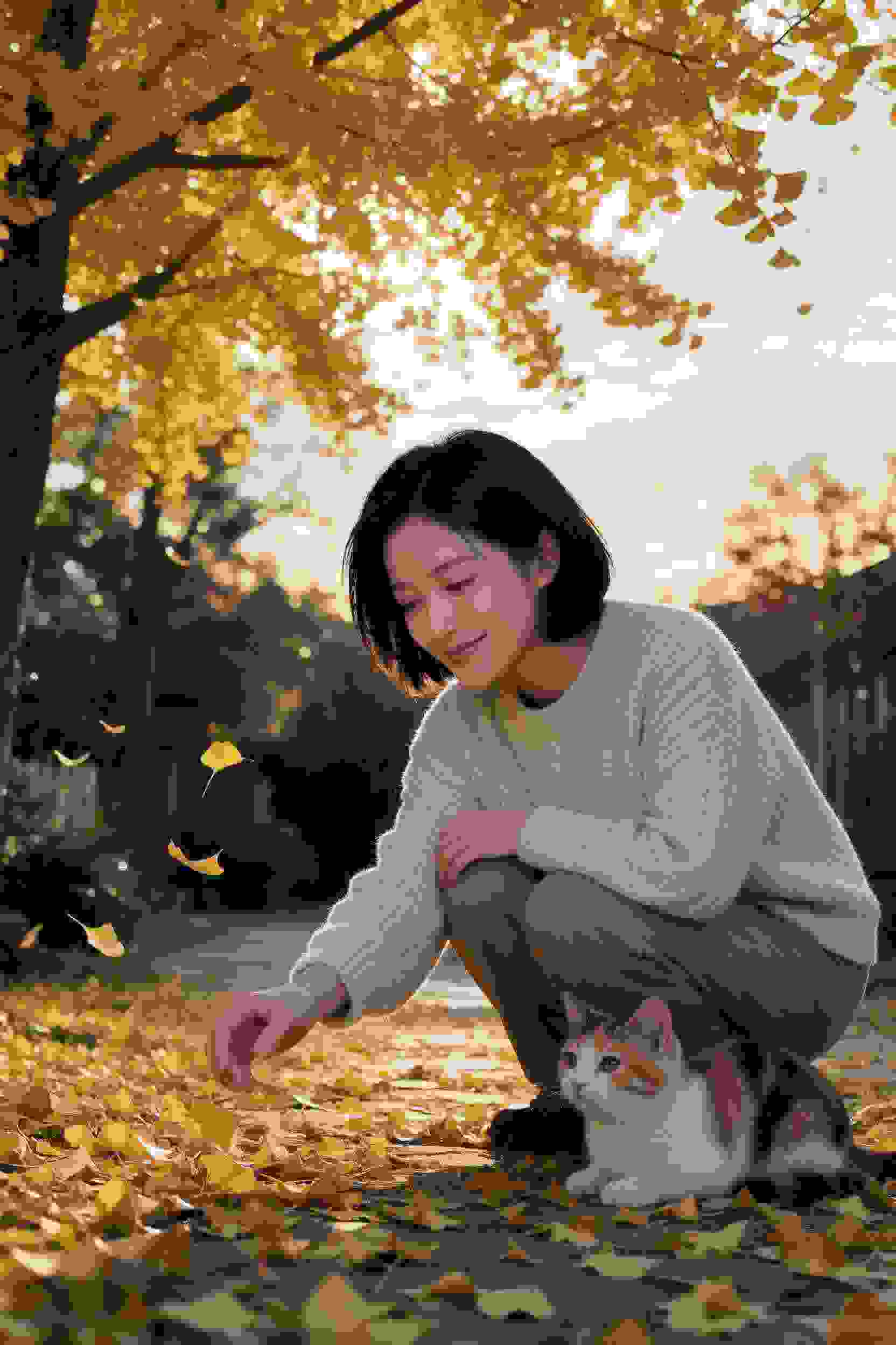 校园物语